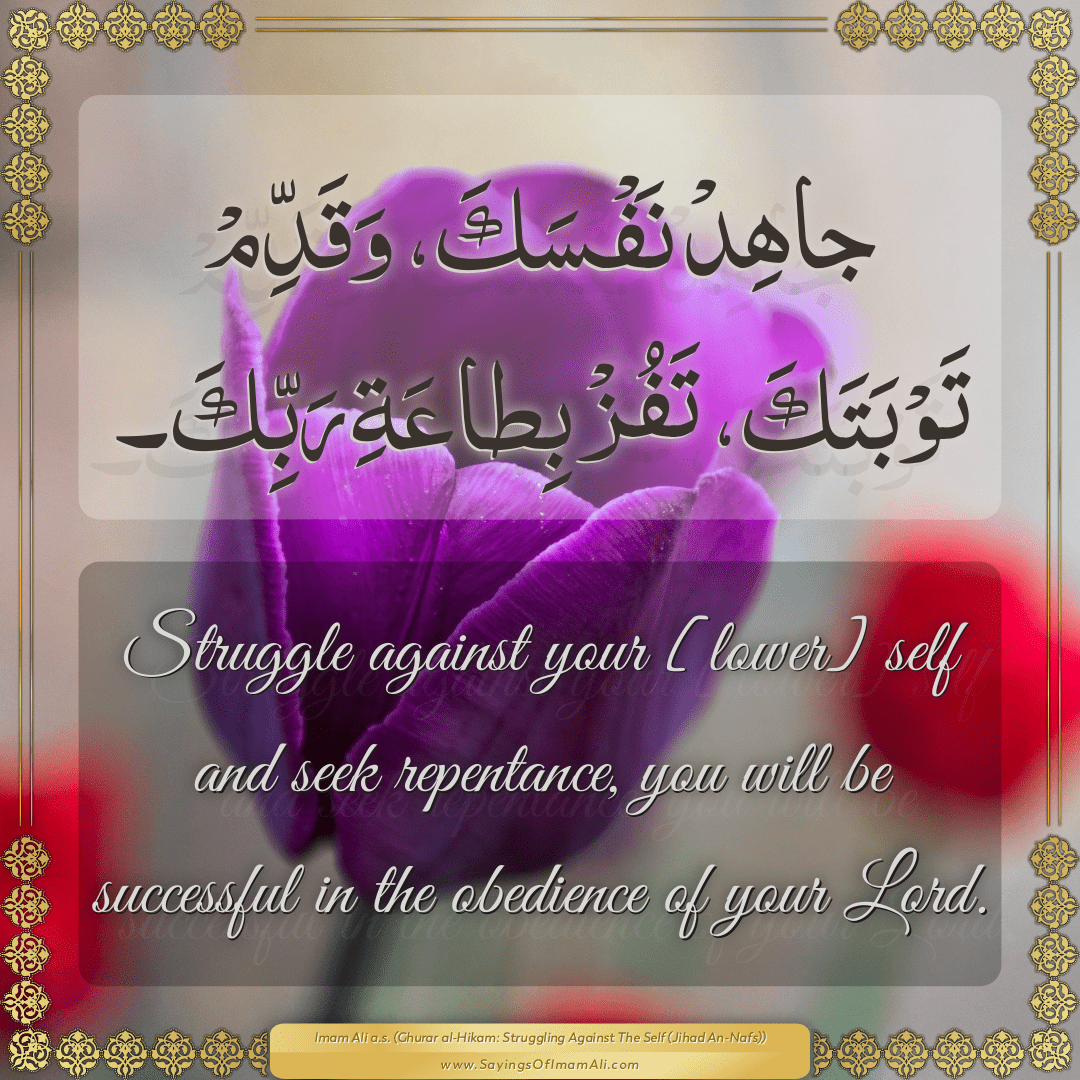 Struggle against your [lower] self and seek repentance, you will be...